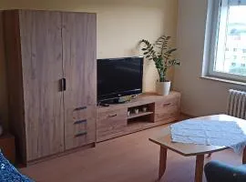 Apartmán V Sídlišti Rousínov