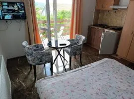 Apartments Nebojša
