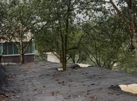Camping ground at Maju farm house