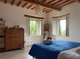 Foxes house