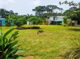 Villa 1200m2 de jardin "100m plage"