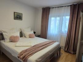 Vintage Central Apartament