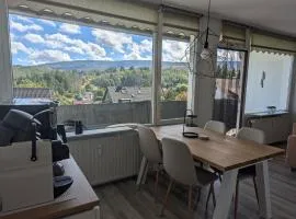 Altenauer Traumsicht mit Balkon