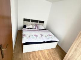 Alexandra Home, hotel u gradu Mediaš