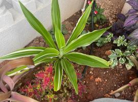 Idyllic escape, place to stay in Mandeville