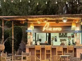 The BIRD