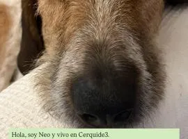 CERQUIDE3