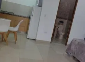 pent-house 1