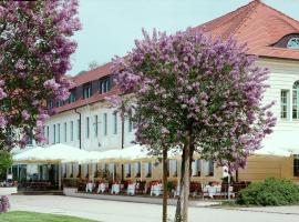 Schloss Hotel Dresden Pillnitz, hotel with parking in Dresden