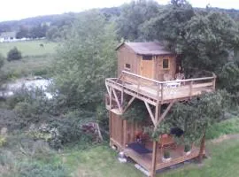 Cabane Perchée dans la prairie de l'ancien moulin