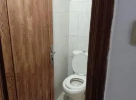 الليث 15