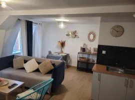 Coquet appartement à 15mn de Paris et 10 mn de Stade de France, wifi, Netflix,