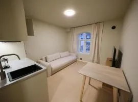 Cozy and practical studio in the city center