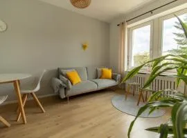 Löwe Apartment Gelb Tiengen Altstadt