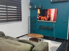 Chic Appartement Meuble Wi-Fi gratuit