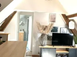Tres Agréable logement a Vierzon