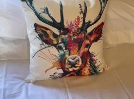 The Stags Den - North Coast Luxury Pods