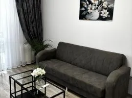 Anastasia Dragonul Roșu Spitalul Fundeni