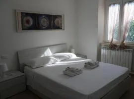 DOMUS SAN DOMENICO - Central - Parking - Wifi