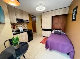 05 Habitación tranquila a pasos de Ceconexpo