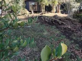 Cabañas Del Monte