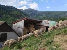 Appartement à la ferme