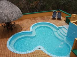 Dream of the Green Flamingo