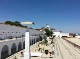 Hostel Cazino Sud