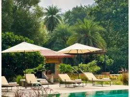 Aloof Jungle Lodge