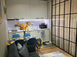 Nova city center apartments