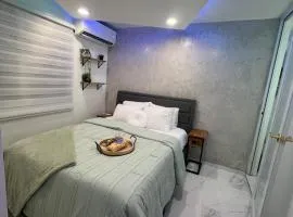 Chic 1BR apartment