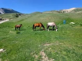Kolsay