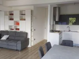 Lake Home
