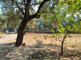 Casa rural Alicia, Hotel in Cortegana