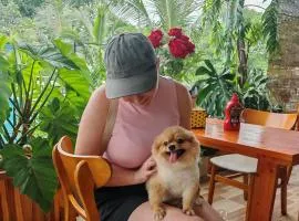 Ninh Binh Peaceful Retreat