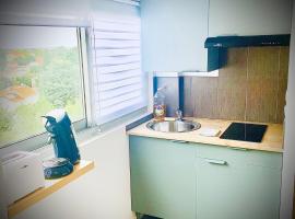 브론에 위치한 호텔 15G Bron centre hôpital Desgenette Vinatier