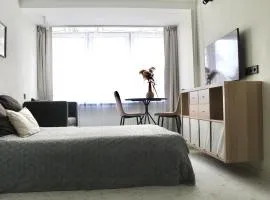 Cozy Studio near Druskininkai