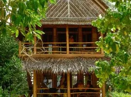 Mentawai Surfing Fishing