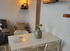 Duplex Hyper centre-ville 10, hotel v destinaci Quimper