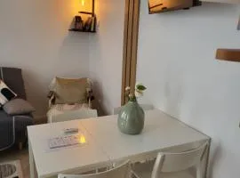 Duplex Hyper centre-ville 10