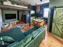 Apartmaji Remsova