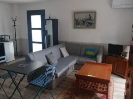 Comfortable house near downtown