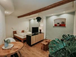 Wohnen in der Altstadt - Wohnungen und Studio, khách sạn ở Gundelsheim