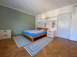 Living (82 m²) in the heart of Graz