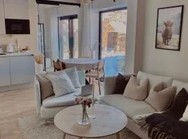 Delicate city apartment with mountain view