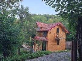 CABANA panoramică din Maluri, villa in Vişineşti