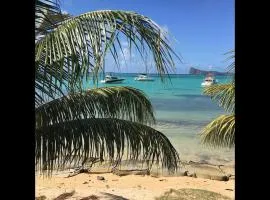 Paradise Escape
