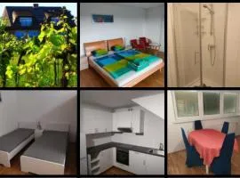 Self Check-in Self Catering Familien Apartment mit Seeblick und Klimaanlage - Neusiedlersee