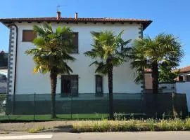 Alloggio tre palme