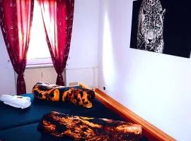 Komfortables Apartment nahe Rhein-Party